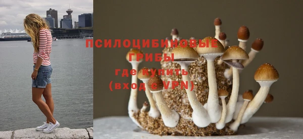 Альфа ПВП Богородицк