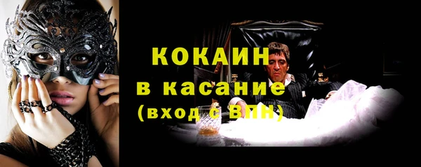 прущие грибы Богородск