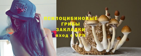гидра Волосово