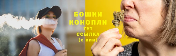СК Волоколамск