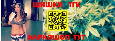 индика Малгобек