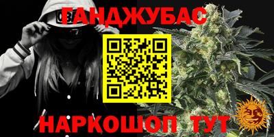 индика Малгобек