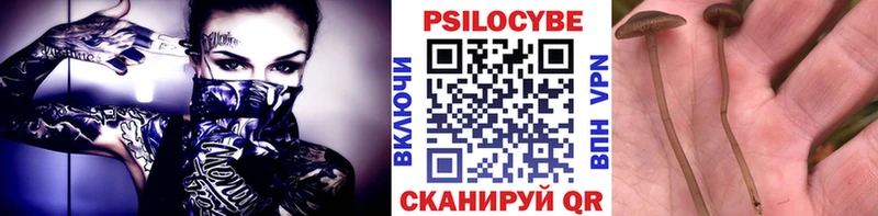 это Telegram Воскресенск Псилоцибиновые грибы прущие грибы