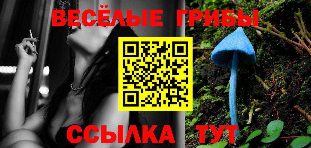 Галлюциногенные грибы Psilocybe  Вход с VPN  Псилоцибиновые грибы Cubensis  Воскресенск 